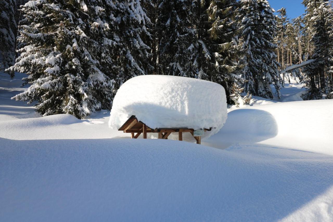 Hotel Schoene Aussicht Kartitsch Bagian luar foto
